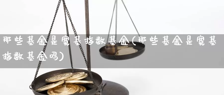 那些基金是宽基指数基金(那些基金是宽基指数基金吗)