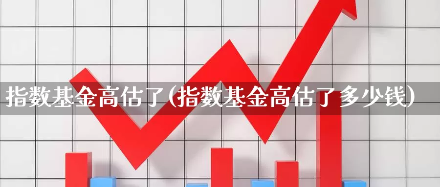 指数基金高估了(指数基金高估了多少钱)