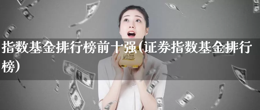 指数基金排行榜前十强(证券指数基金排行榜)