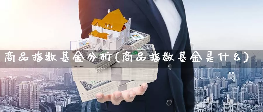 商品指数基金分析(商品指数基金是什么)