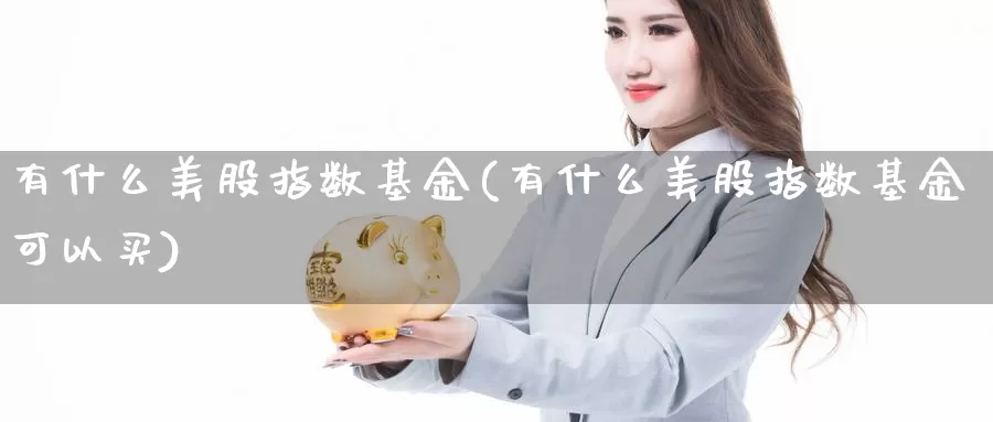 有什么美股指数基金(有什么美股指数基金可以买)