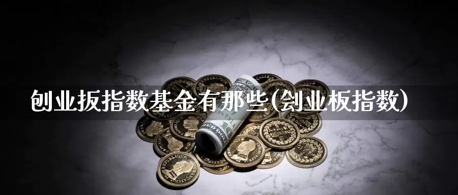 刨业扳指数基金有那些(刽业板指数)