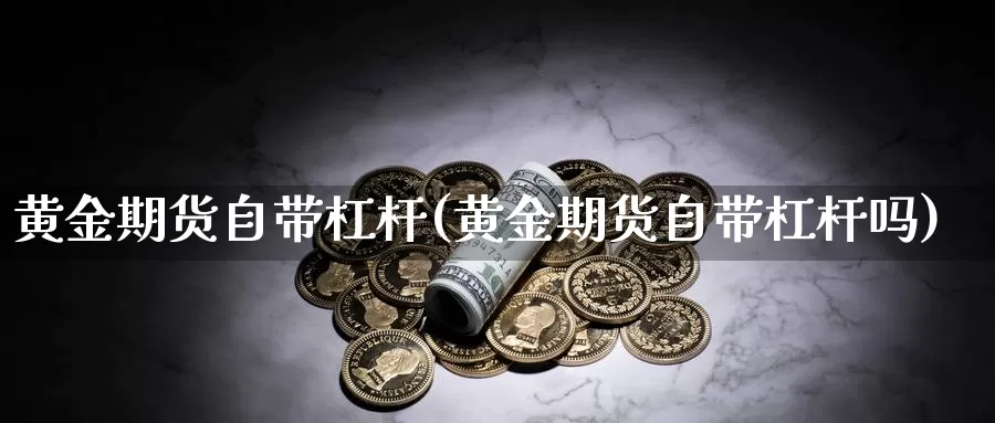 黄金期货自带杠杆(黄金期货自带杠杆吗)