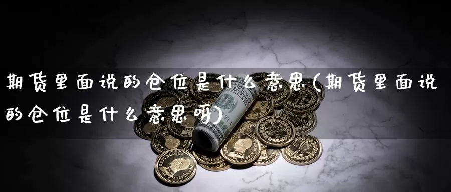 期货里面说的仓位是什么意思(期货里面说的仓位是什么意思呀)