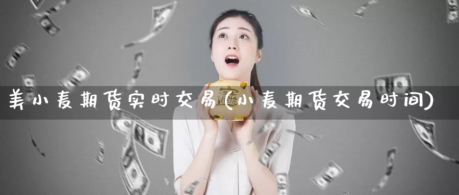 美小麦期货实时交易(小麦期货交易时间)