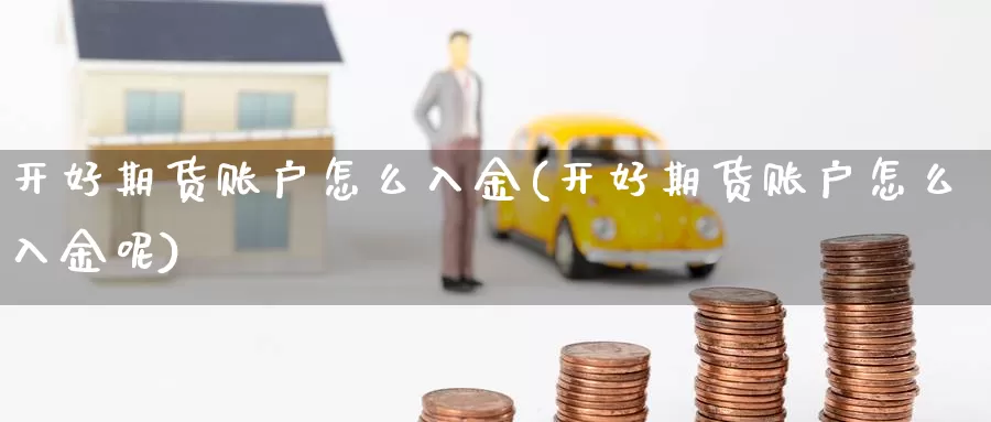 开好期货账户怎么入金(开好期货账户怎么入金呢)