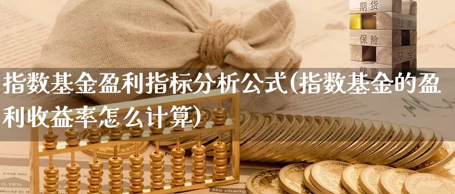 指数基金盈利指标分析公式(指数基金的盈利收益率怎么计算)