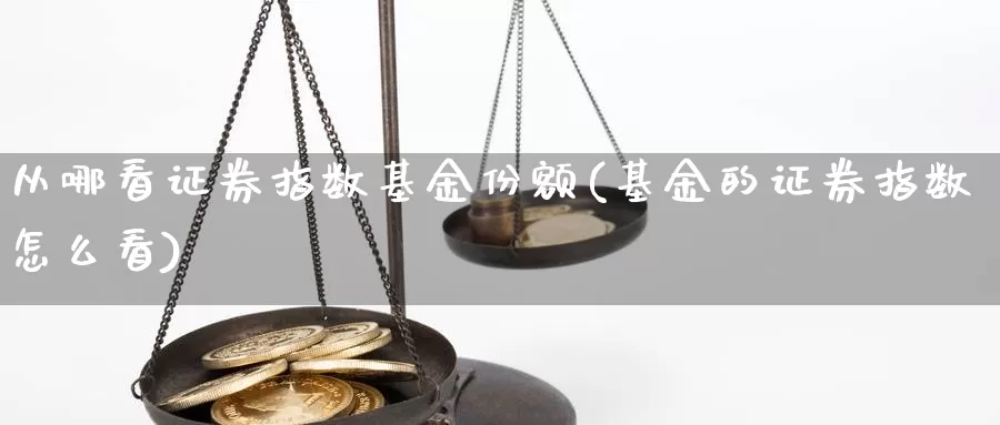 从哪看证券指数基金份额(基金的证券指数怎么看)