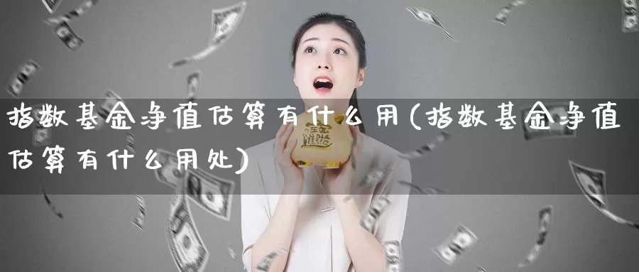 指数基金净值估算有什么用(指数基金净值估算有什么用处)