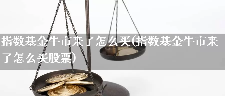 指数基金牛市来了怎么买(指数基金牛市来了怎么买股票)