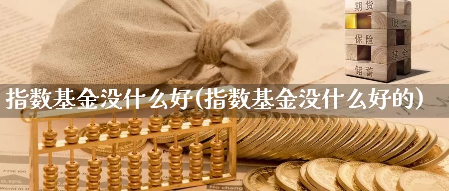 指数基金没什么好(指数基金没什么好的)