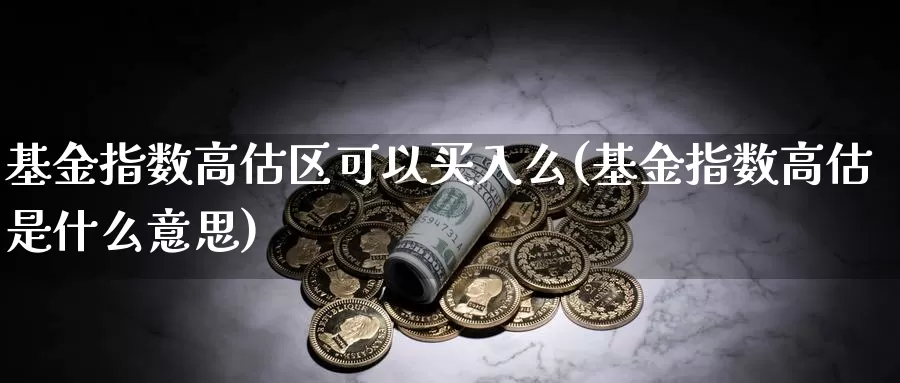 基金指数高估区可以买入么(基金指数高估是什么意思)