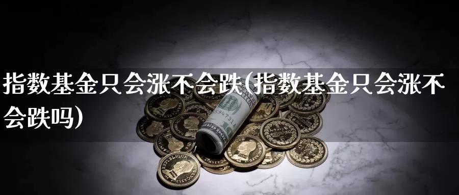 指数基金只会涨不会跌(指数基金只会涨不会跌吗)