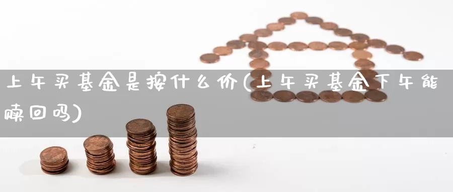 上午买基金是按什么价(上午买基金下午能赎回吗)