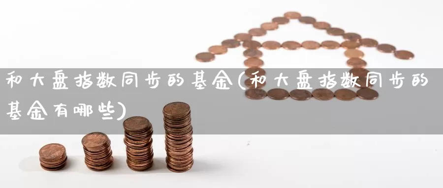 和大盘指数同步的基金(和大盘指数同步的基金有哪些)