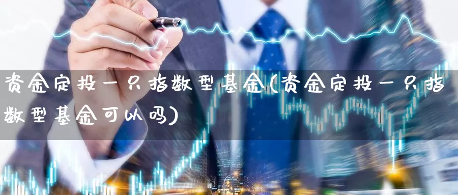 资金定投一只指数型基金(资金定投一只指数型基金可以吗)