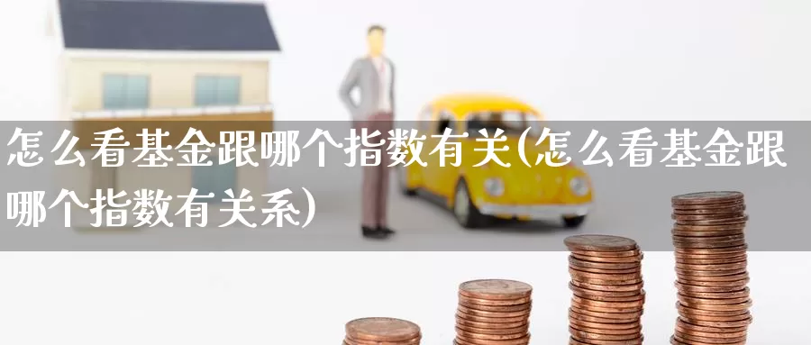 怎么看基金跟哪个指数有关(怎么看基金跟哪个指数有关系)