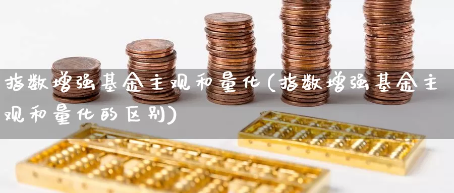 指数增强基金主观和量化(指数增强基金主观和量化的区别)