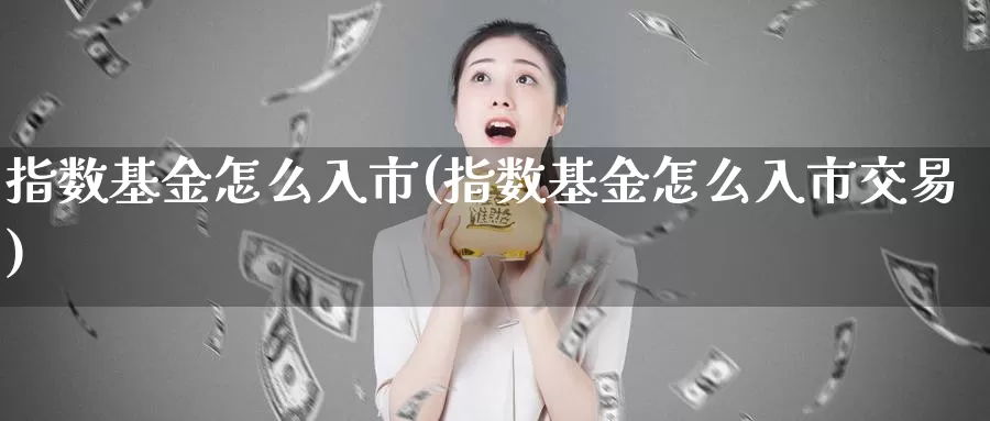 指数基金怎么入市(指数基金怎么入市交易)