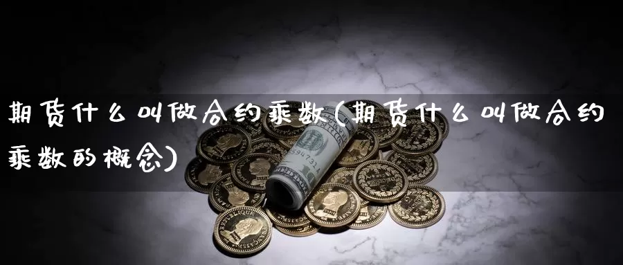 期货什么叫做合约乘数(期货什么叫做合约乘数的概念)