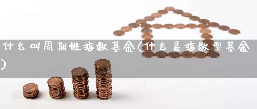 什么叫周期性指数基金(什么是指数型基金)