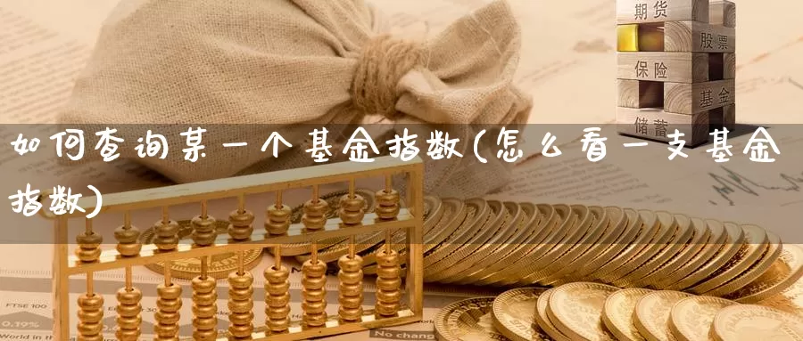 如何查询某一个基金指数(怎么看一支基金指数)