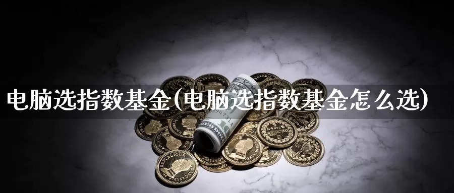 电脑选指数基金(电脑选指数基金怎么选)