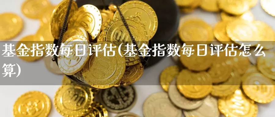 基金指数每日评估(基金指数每日评估怎么算)