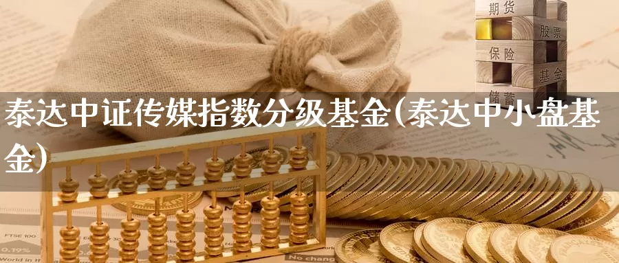 泰达中证传媒指数分级基金(泰达中小盘基金)