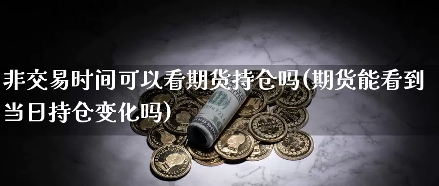 非交易时间可以看期货持仓吗(期货能看到当日持仓变化吗)