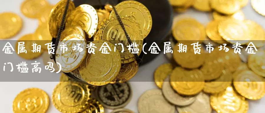 金属期货市场资金门槛(金属期货市场资金门槛高吗)