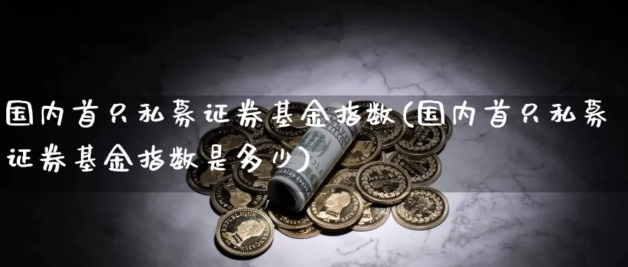 国内首只私募证券基金指数(国内首只私募证券基金指数是多少)