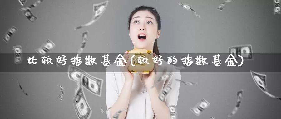 比较好指数基金(较好的指数基金)