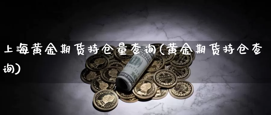 上海黄金期货持仓量查询(黄金期货持仓查询)