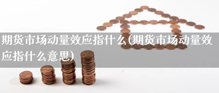 期货市场动量效应指什么(期货市场动量效应指什么意思)