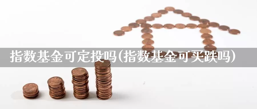 指数基金可定投吗(指数基金可买跌吗)