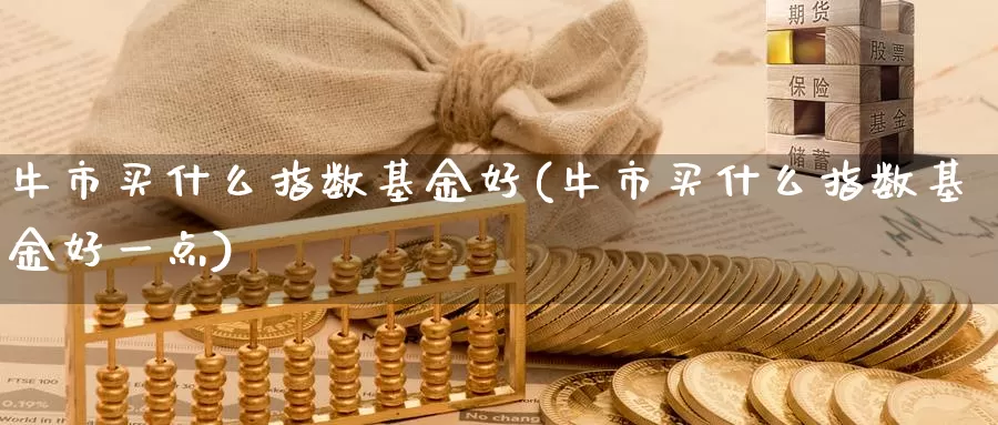 牛市买什么指数基金好(牛市买什么指数基金好一点)