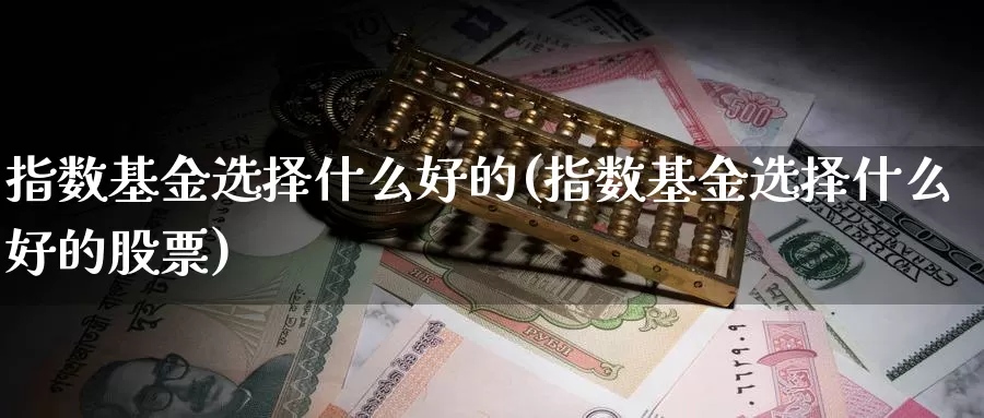 指数基金选择什么好的(指数基金选择什么好的股票)