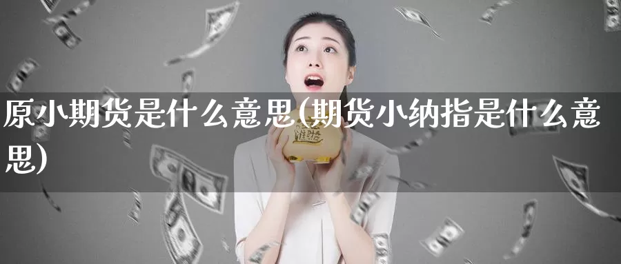 原小期货是什么意思(期货小纳指是什么意思)