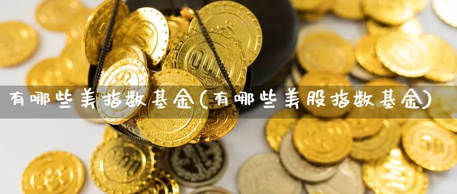 有哪些美指数基金(有哪些美股指数基金)