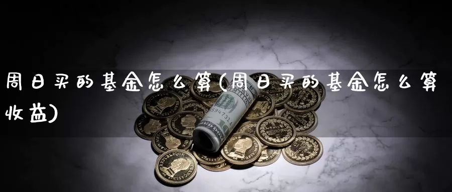 周日买的基金怎么算(周日买的基金怎么算收益)