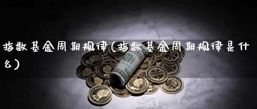 指数基金周期规律(指数基金周期规律是什么)