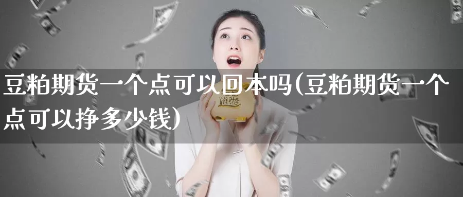 豆粕期货一个点可以回本吗(豆粕期货一个点可以挣多少钱)