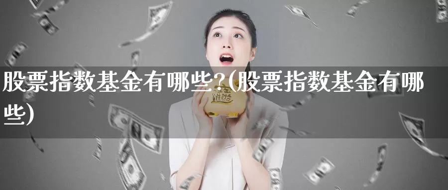 股票指数基金有哪些?(股票指数基金有哪些)