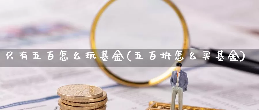 只有五百怎么玩基金(五百块怎么买基金)