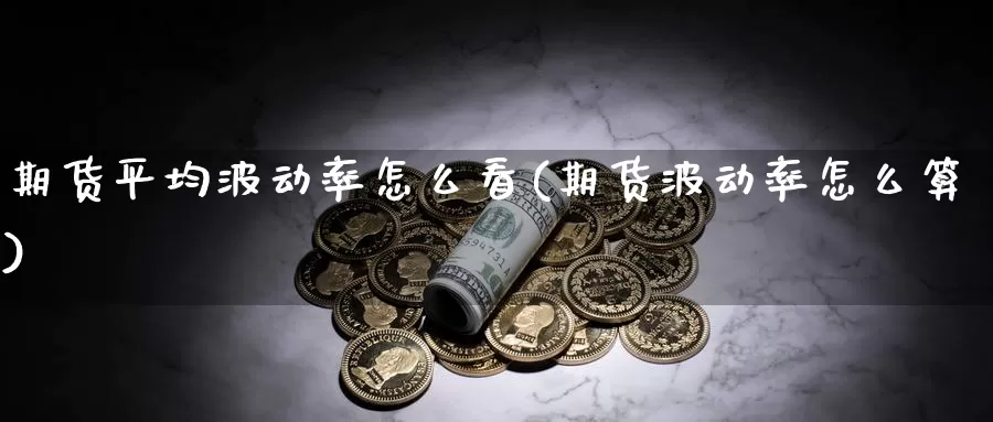 期货平均波动率怎么看(期货波动率怎么算)