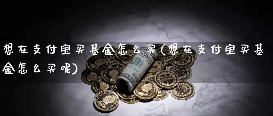 想在支付宝买基金怎么买(想在支付宝买基金怎么买呢)